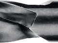 Сверло по дереву 7x105/60мм,спиральное,ЗУБР 29421-105-07